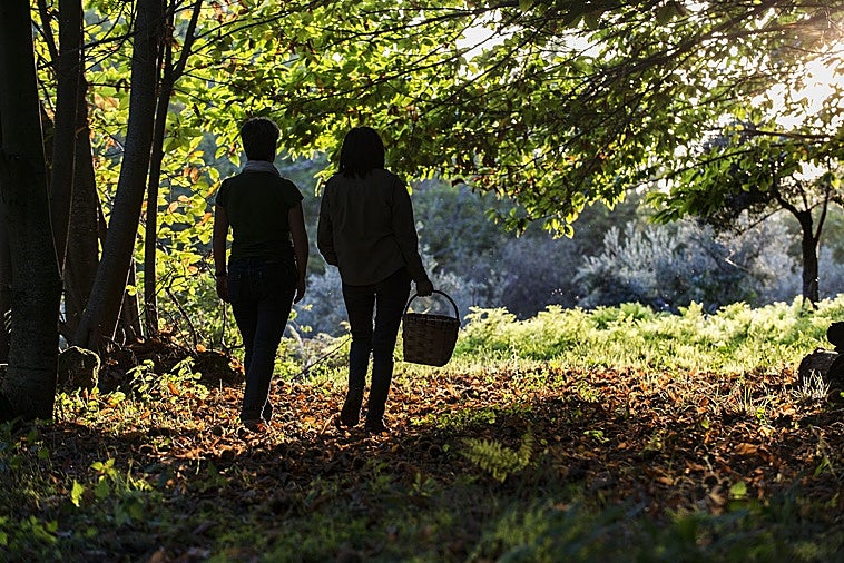 Primavera en Extremadura: el lujo silencioso de disfrutar cada rincón sin prisas